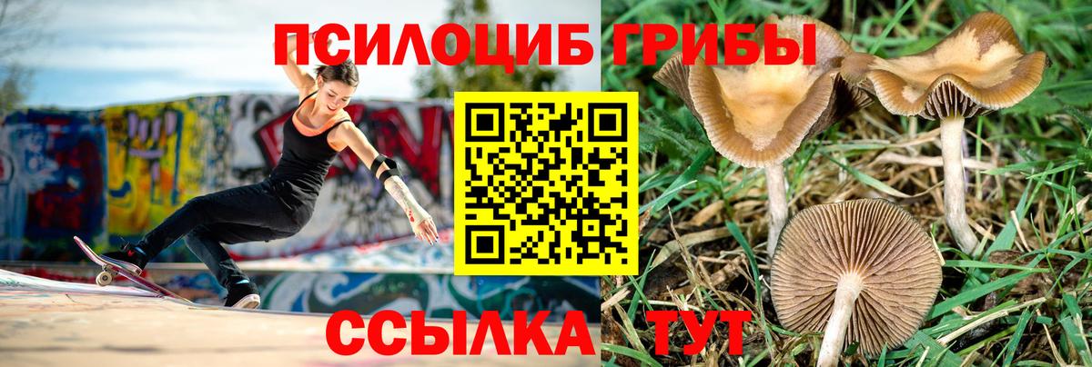 Галлюциногенные грибы ЛСД  наркотики  Архангельск  Вход с VPN 